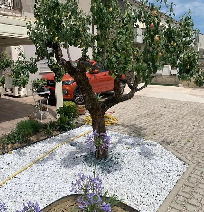 La Casa di Toni-1