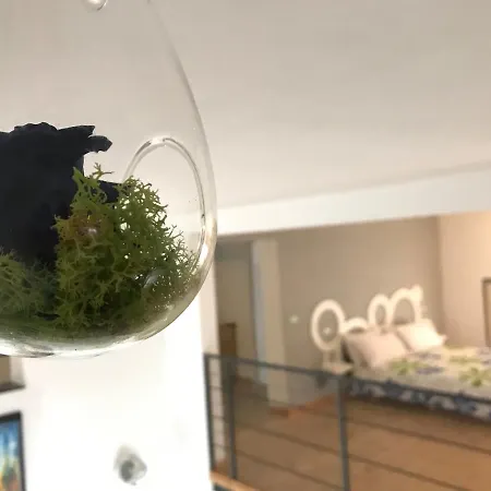Loft 51-2